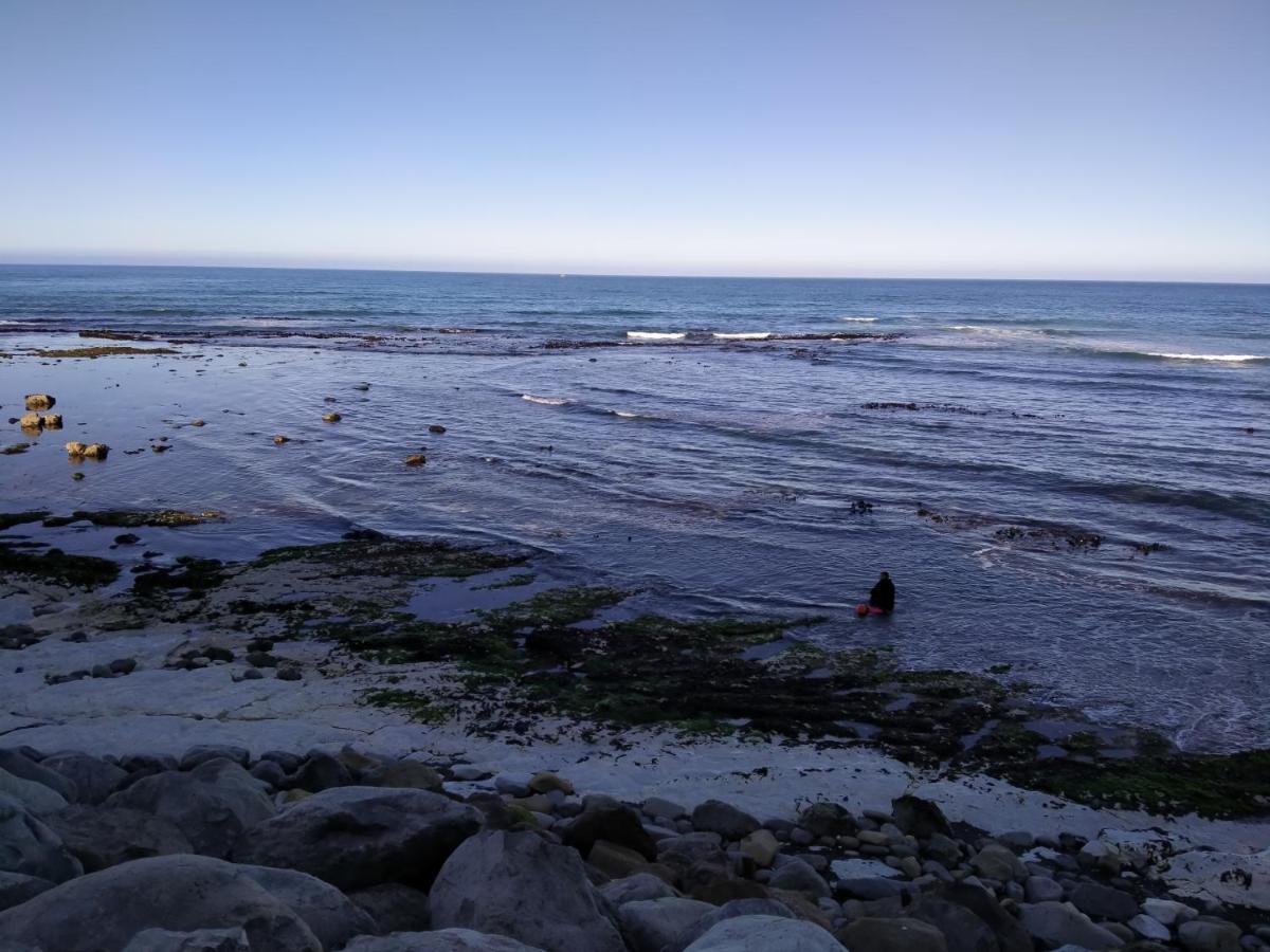 The Lazy Shag Lodge Kaikoura Exterior foto