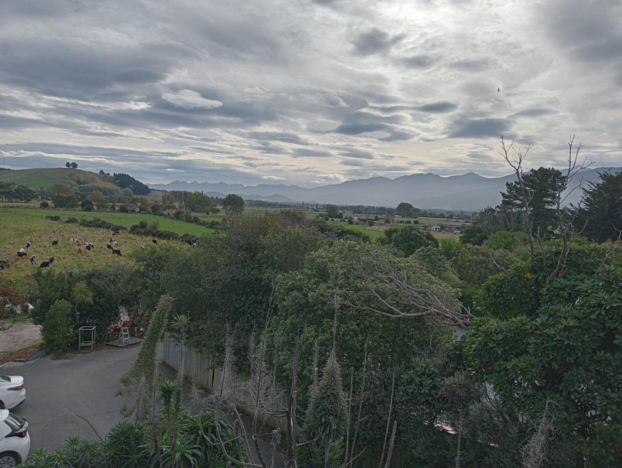 The Lazy Shag Lodge Kaikoura Exterior foto